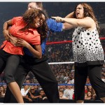 The Other Divas Brawl at the Bash