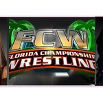 FCW: The Savior of the Women’s Division?