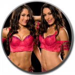 Diva Draft 2009: The Bella Twins to Raw