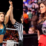 Raw Redux (November 12th, 2012): Kaitlyn Wins Contendership, Will Face Eve at Survivor Series.