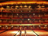 WrestleMania Week Tweets: The Bella Twins Take Radio City Music Hall and More Tweets from Thursday