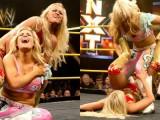 NXT Watch (May 15th, 2013): Summer Rae Tries to Break a Hart as Paige Tries to Break Summer Rae