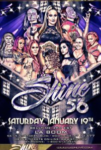 SHINE Tag Team Champions