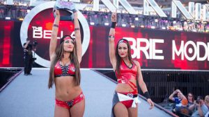 The Bella Twins at WWE WrestleMania
