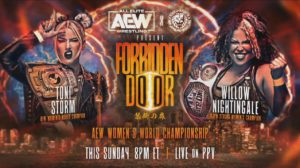 Toni Storm vs Willow Nightingale AEW Forbidden Door
