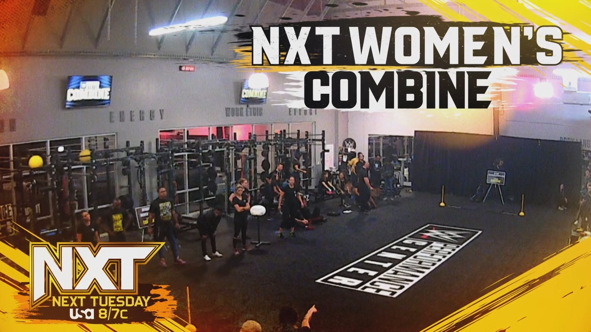 Who Will Survive The NXT Women’s Combine?