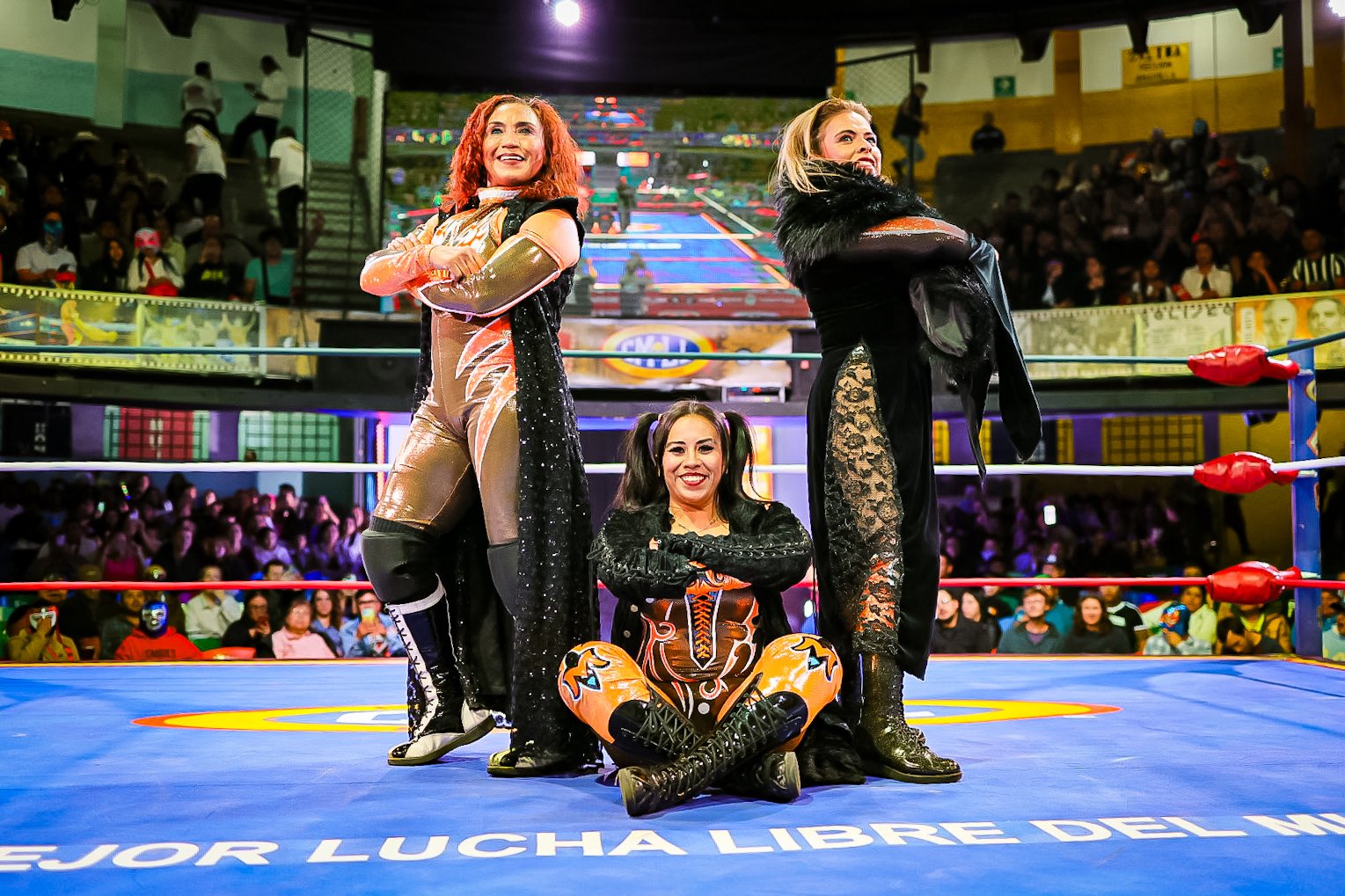 CMLL Weekly Review: Las Artemisas Continue To Win CMLL Weekly Review: Las Artemisas Continue To Win