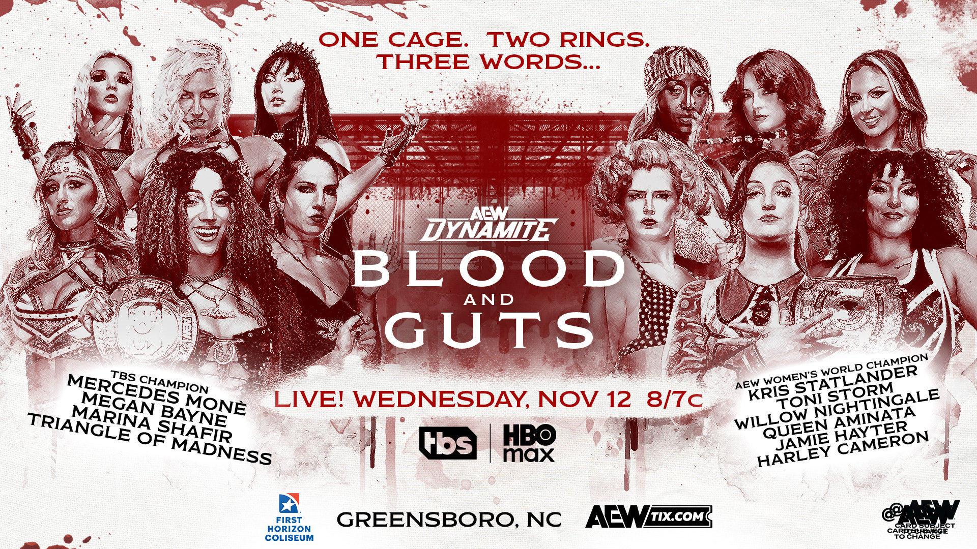 12 Woman AEW Blood & Guts Match Participants Confirmed 12 Woman AEW Blood & Guts Match Participants Confirmed